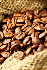 Similar image 458559