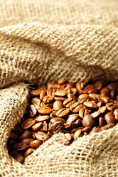 Similar image 458565