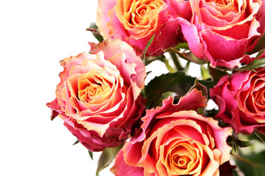 Similar image 458612