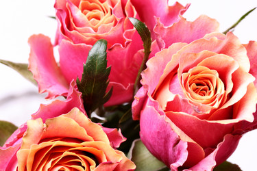 Similar image 458613