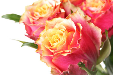 Similar image 458614