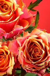 Similar image 458616