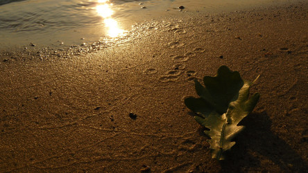 Similar image 458710