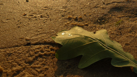 Similar image 458711