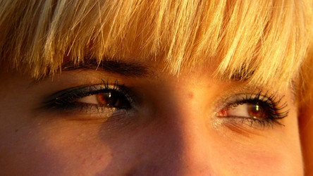 Similar image 458722