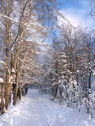 Similar image 458742