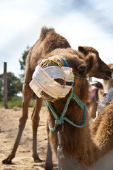 Similar image 458744