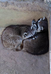 Similar image 458745