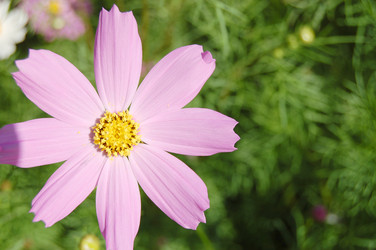 Similar image 458777