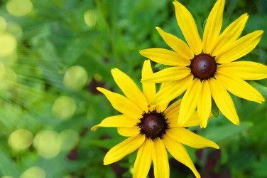 Similar image 458781