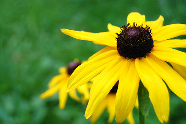 Similar image 458783