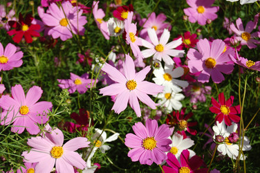 Similar image 458788