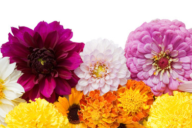 Similar image 458789