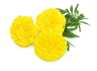 Similar image 458790