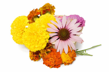 Similar image 458791