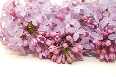 Similar image 458805