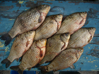 Similar image 458862