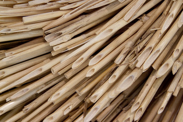 Similar image 458870