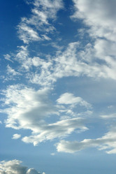 Similar image 458881