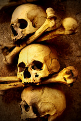 Similar image 458888