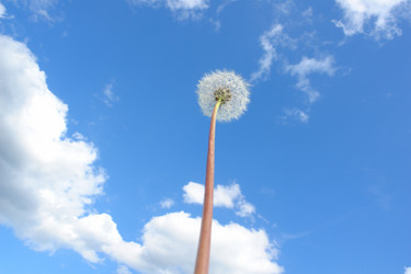 Similar image 458964