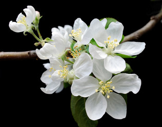 Similar image 458970