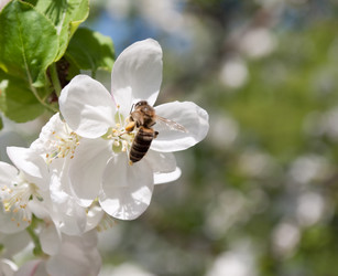 Similar image 458977