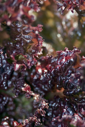 Similar image 459007