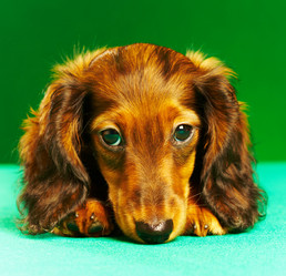 Similar image 459041