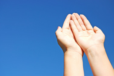 Similar image 459044