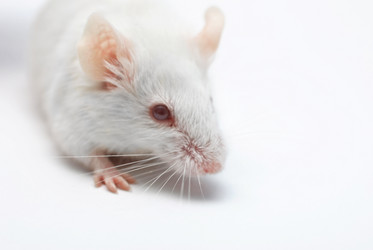 Similar image 459091