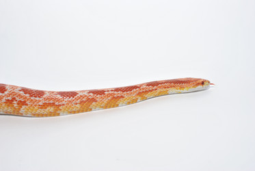 Similar image 459099