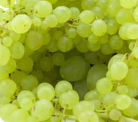 Similar image 459151