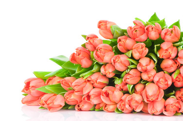 Similar image 459215