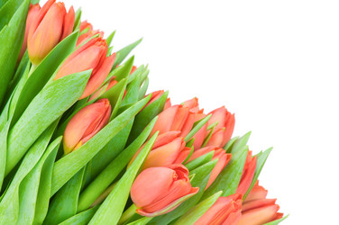 Similar image 459221