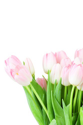 Similar image 459224