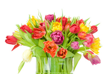 Similar image 459227