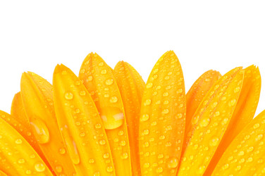 Similar image 459242