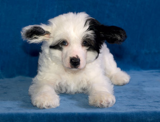 Similar image 459255