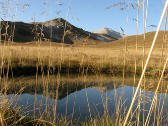 Similar image 459310