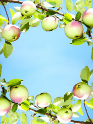 Similar image 459326