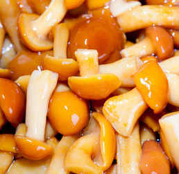 Similar image 459410