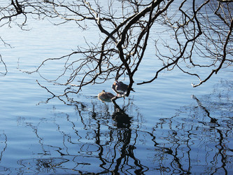 Similar image 459453