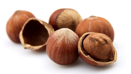 Similar image 459464