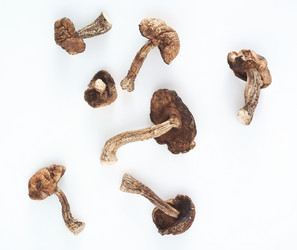 Similar image 459479