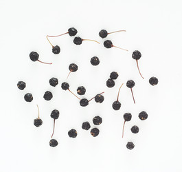 Similar image 459480