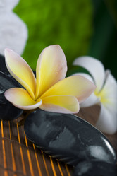 Similar image 459492