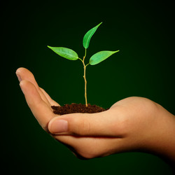 Similar image 459516