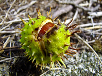 Similar image 459526