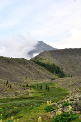 Similar image 459557